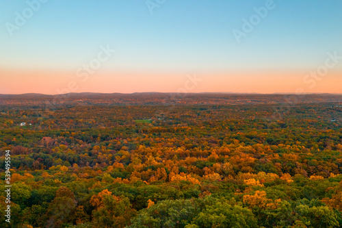 A vast landscape of autumn trees