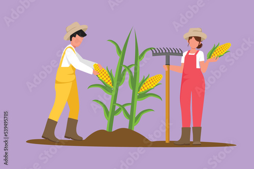 Cartoon flat style drawing young couple farmers picking corn on the tree. Family farming business, seasonal chore. Natural vegetables harvest, agricultural activity. Graphic design vector illustration