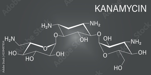 Kanamycin antibiotic drug molecule (aminoglycoside). Skeletal formula.