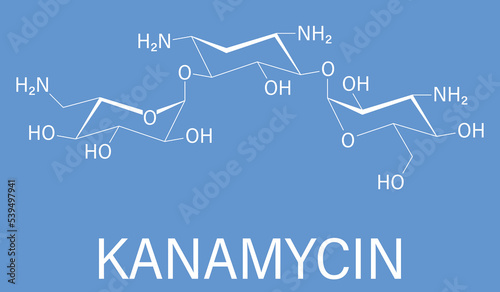 Kanamycin antibiotic drug molecule (aminoglycoside). Skeletal formula.