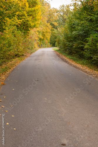 Autumn forest in the rays of the sun and the road in autumn colors. Day.