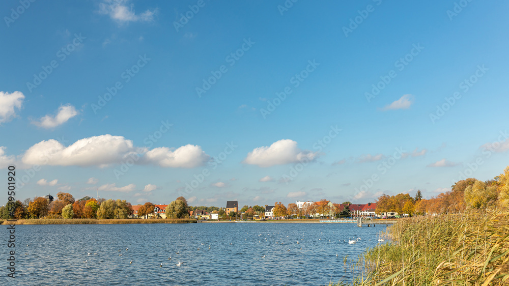 Landschaft mit Siedlung Stadt Ort Häusern sowie Schilf und Bäumen am Ufer von einem See