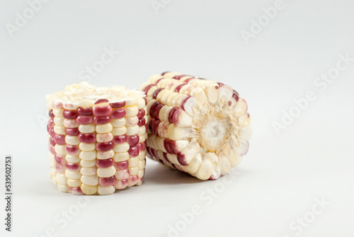 Broken waxy corn on a white background. photo