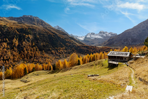 autumnal view of Val Viola in Valtellina, Italy with typical mountain hut