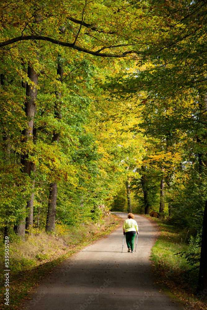 Woman on the road in the autumn forest.