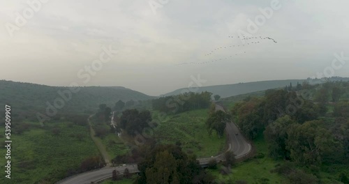 Aerial View of birds forming a V formation in flight. Mishmar HaYarden, Northern District, Israel photo