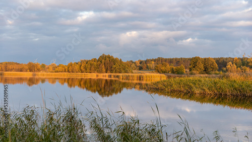 Landschaft mit Bäumen, Schilf, wolkigem Himmel und der Spiegelung der Wolken im See photo