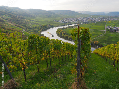 Herbst an der Mosel vom Aussichtspunkt Zummethöhe bei Leiwen und Trittenheim