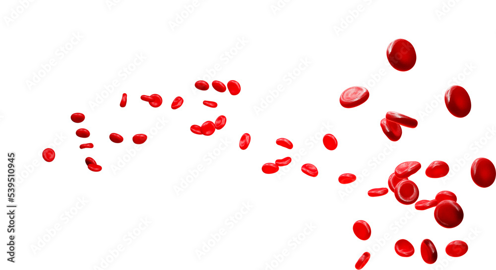 Blood cells on a transparent background. Blood cells, selective focus, 3d render. Concept of medicine or microbiology.