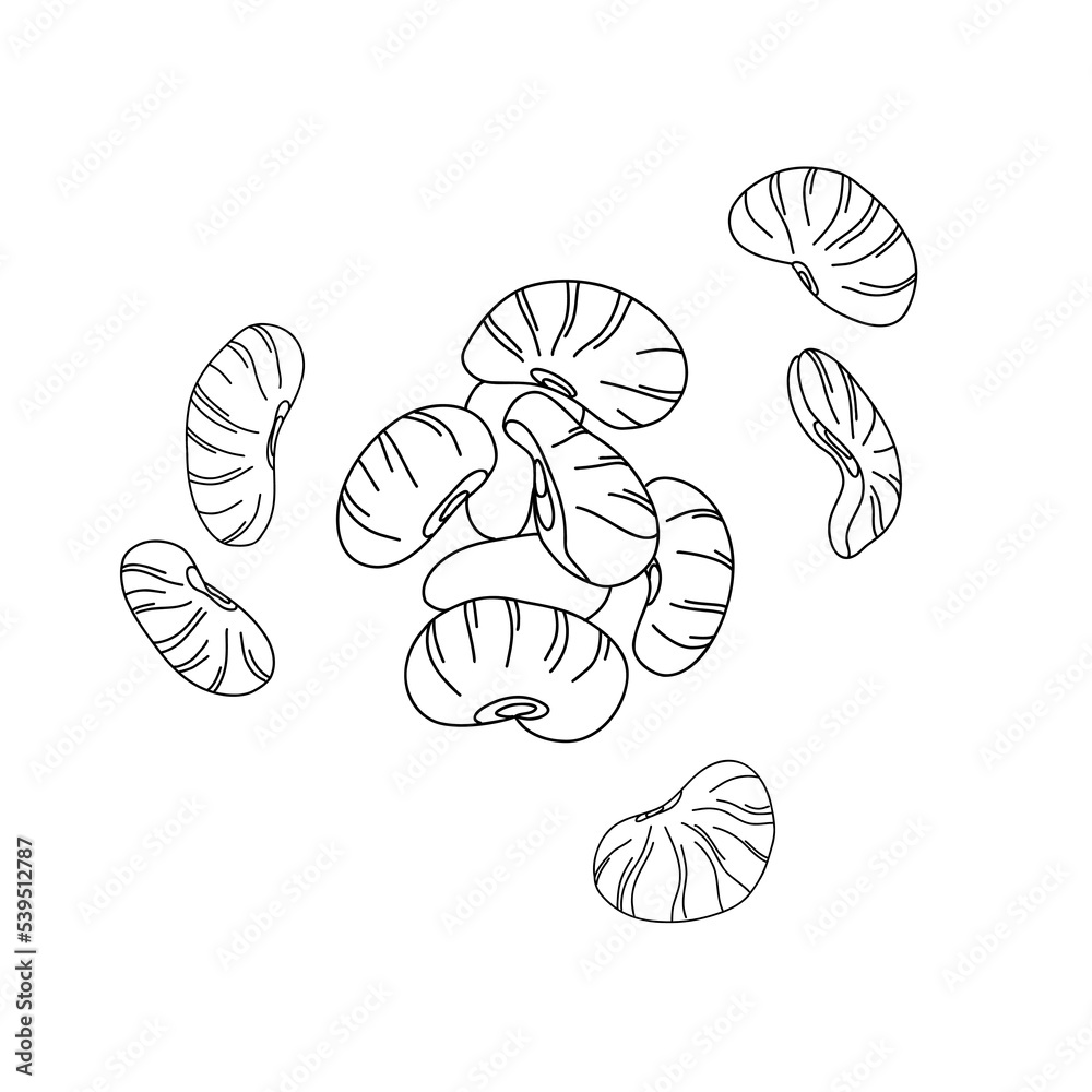 Handful of lima beans illustration in line art style isolated on white