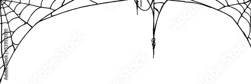 Halloween party background with spiderwebs isolated png or transparent texture,blank space for text,element template for poster,brochures, online advertising,vector illustration