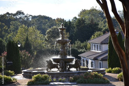 Fountain and trees