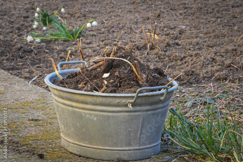 Frühling ist Pflanzzeit
