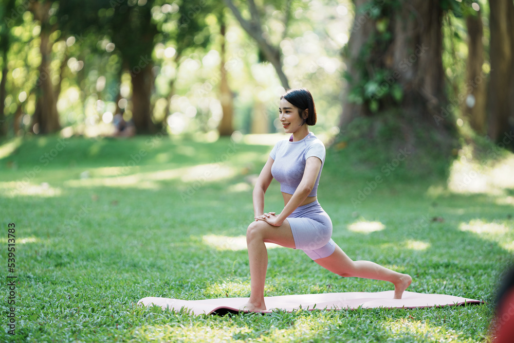Beautiful young asian woman yoga exercising in the park. Beautiful young asian woman yoga exercising in the park.