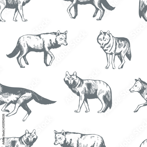 Vector  pattern with  wolf.