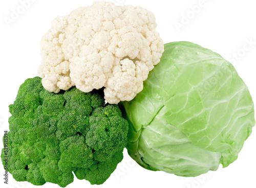 Cauliflower  Broccoli and Cabbage - isolated image