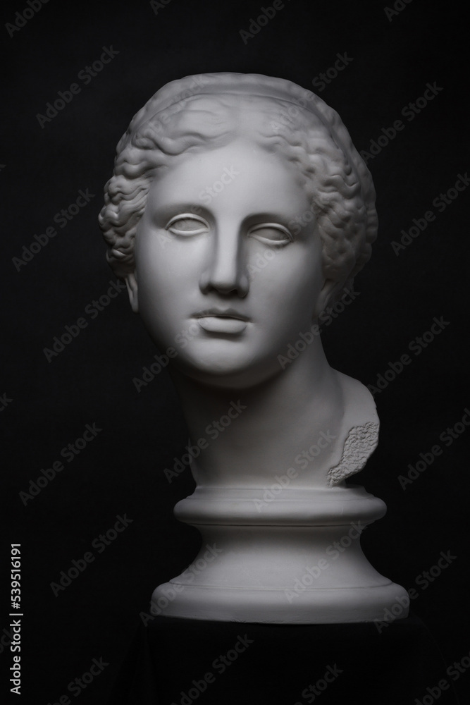 A copy of the plaster ancient Greek bust of Aphrodite A copy of the plaster ancient Greek bust of Aphrodite
