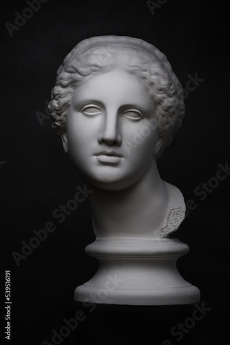 A copy of the plaster ancient Greek bust of Aphrodite