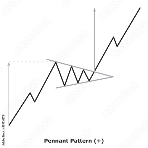 Pennant Pattern (+) White & Black