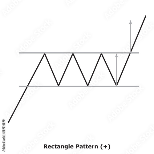 Rectangle Pattern (+) White & Black