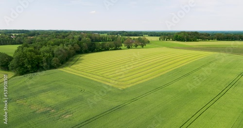 Aerial view of countryside with mowed grass in meadows and barley field, Ootmarsum, Twente, Overijssel, Netherlands photo