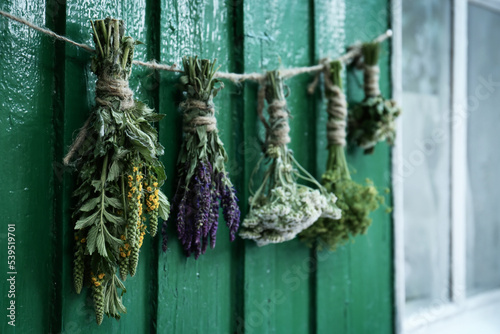 Bunches of different beautiful dried flowers hanging on rope near green wooden wall outdoors