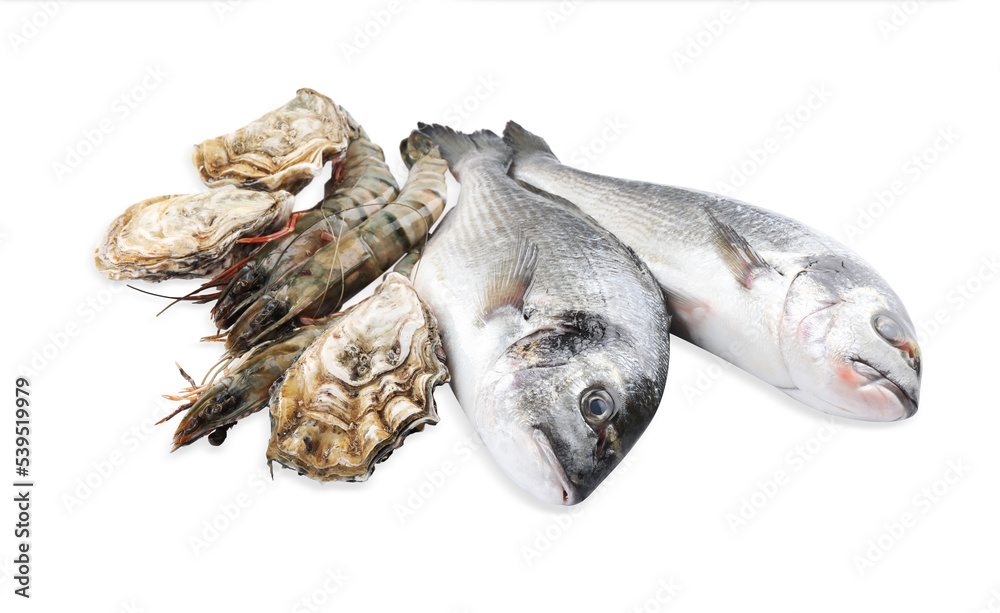 Fresh dorado fish, shrimps and oysters on white background Fresh dorado fish, shrimps and oysters on white background