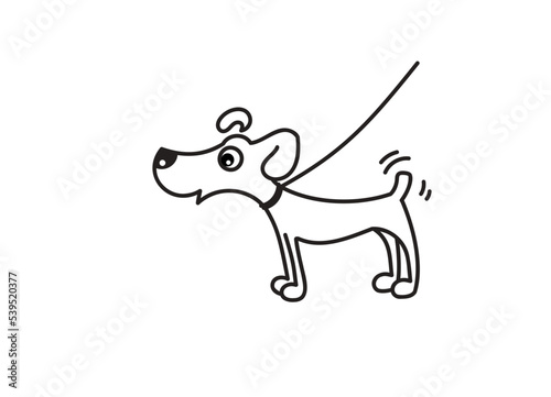 A cute puppy on a leash stands and looks. Vector single color contour illustration.