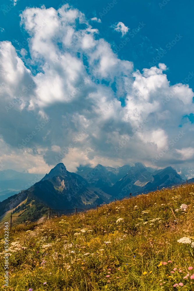 Beautiful alpine summer view at the famous Hoher Kasten summit, Bruelisau, Appenzell, Alpstein, Switzerland Beautiful alpine summer view at the famous Hoher Kasten summit, Bruelisau, Appenzell, Alpstein, Switzerland