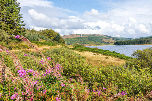 The northern end of Lussa Loch on the Kintyre Peninsula, Argyll & Bute, Scotland UK