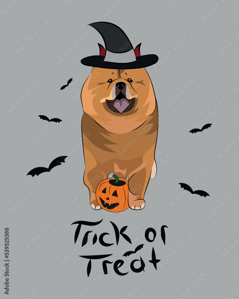 Dog Halloween greeting card with a sitting Chow Chow dog. Dog in a costume, pumpkin in a paw. Postcard for pet lovers. Pet character postcard art. Funny dog mascot. Witch spooky card.