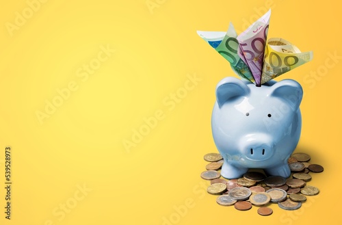 Cute small Piggy Bank and money photo