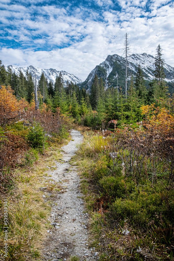 Fototapeta premium Autumn scene in Dill valley, High Tatras mountain, Slovakia