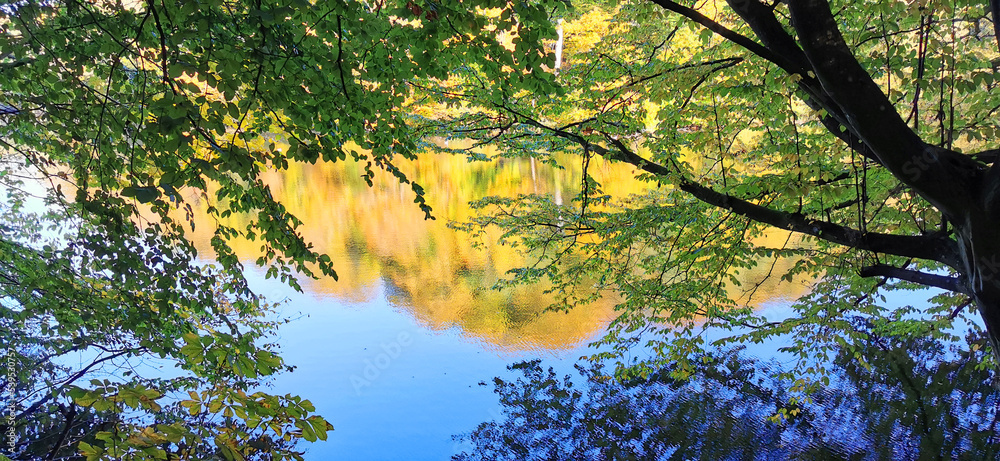 Fototapeta premium Autumn colors in the forest and the trees and blue sky reflecting in the lake