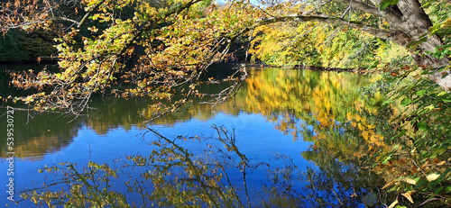 Autumn colors in the forest and the trees and blue sky  reflecting in the lake