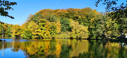 Autumn colors in the forest and the trees and blue sky  reflecting in the lake