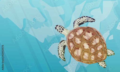 Green sea turtle swims in blue water. Green turtle, black turtle or Pacific green turtle. Realistic vector underwater landscape.