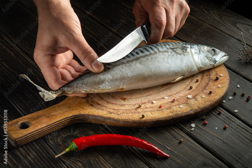 The cook cuts mackerel or scomber with knife on kitchen cutting board before cooking with spices and pepper