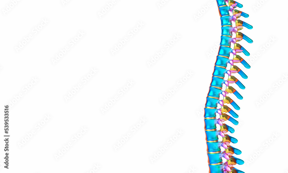 iridescent human spine on white background.