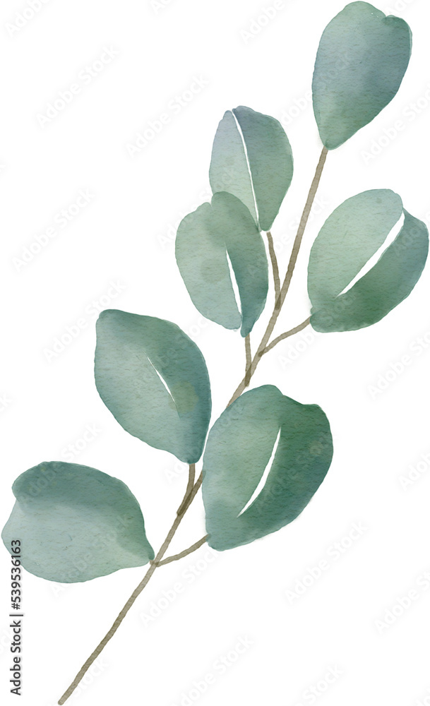 leaf watercolor Clipart leaf watercolor Clipart