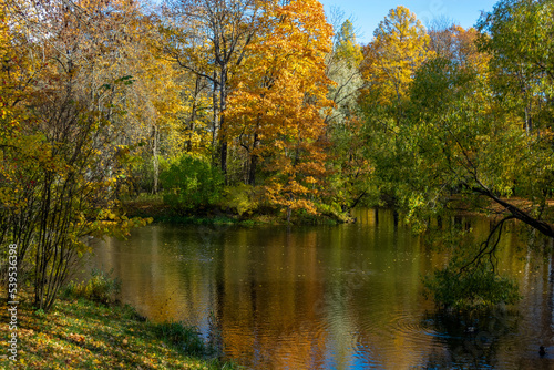 The trees in the park in autumn are beautifully reflected in the water. Good weather invites you to take a walk in the park and forest. Photo tourism brings joy