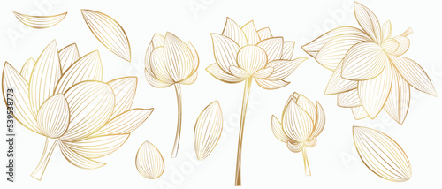 Set of lotus flowers in golden color on a white background. Line art style