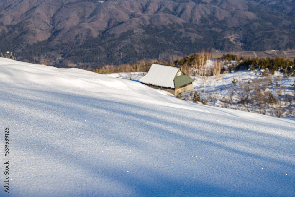 snow covered house