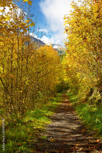 Indian summer in fall in the alpine valley of Holzgau in Tyrol Austria © René Notenbomer