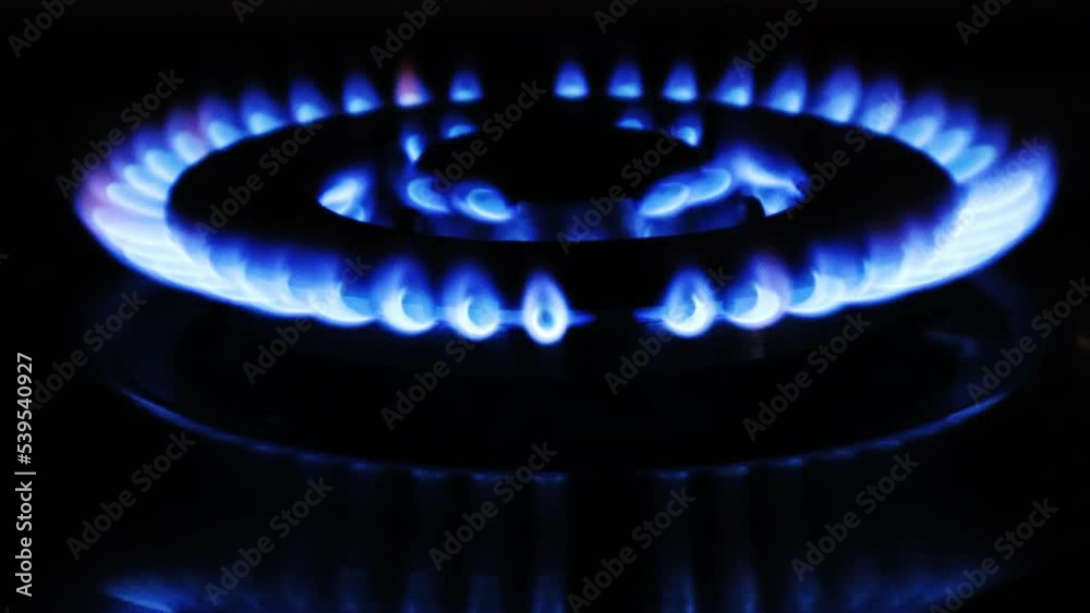 Gas cooker with burning flames of gas. Domestic kitchen with blue flames burning Gas cooker with burning flames of gas. Domestic kitchen with blue flames burning