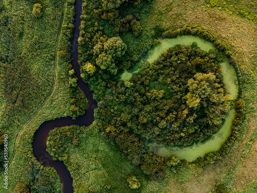 River Tanew and oxbow lake - view from drone - August 2020, Poland