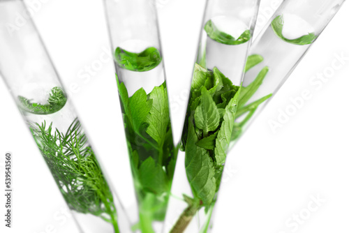 Different herbs in tubes isolated on white