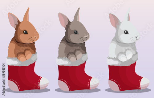 Set of different Christmas bunnies rabbits. Vector iillustration of 3 elements of white, gray, brown rabbits in Christmas socks isolated. Christmas, New Year, cards, design, print concept.