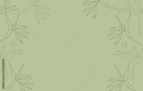 Strelitzia frame on green background. Flower border line art vector. Wedding flower frame. Tropical flower