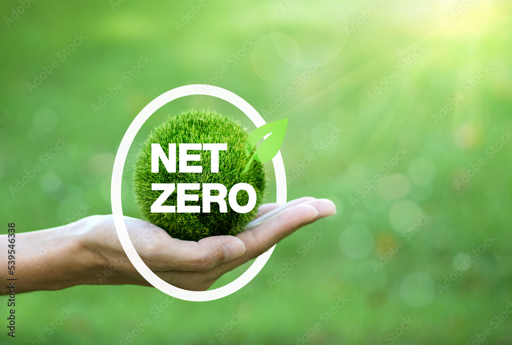 Net-Zero Emission - Carbon Neutrality concept. green earth on hand ...